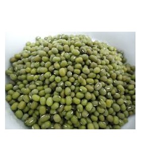 GREEN SOYBEAN