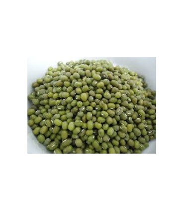 GREEN SOYBEAN