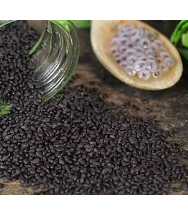 BASIL FLOWER SEEDS